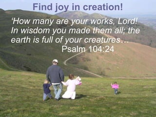 Find joy in creation! ‘ How many are your works, Lord! In wisdom you made them all; the earth is full of your creatures…  Psalm 104:24 