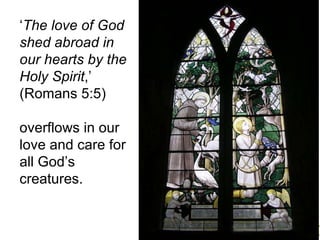 ‘ The love of God shed abroad in our hearts by the Holy Spirit , ’   (Romans 5:5) overflows in our love and care for all God ’ s creatures.    