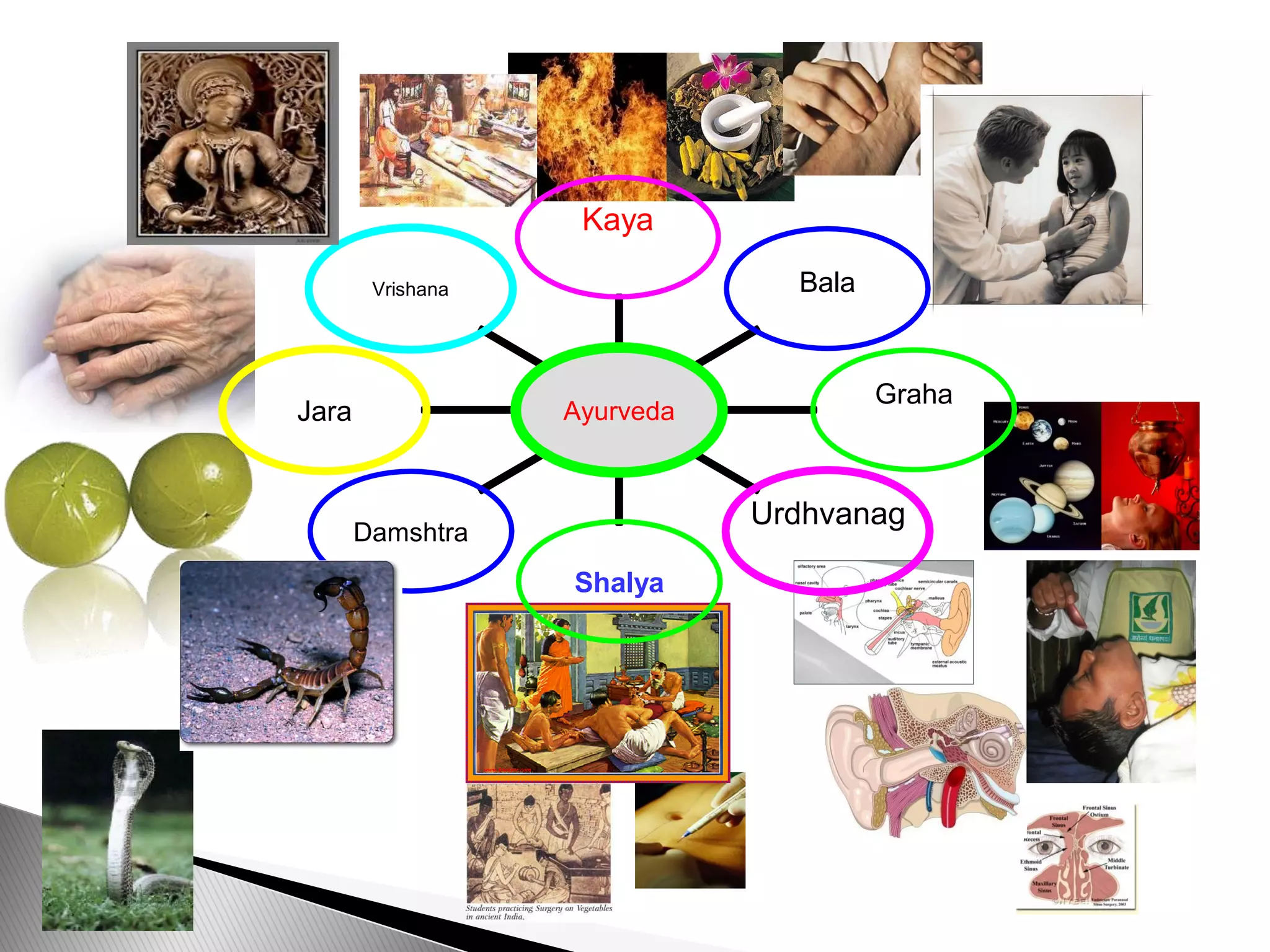 Vrishana
Jara
Damshtra
Shalya
Urdhvanag
Graha
Bala
Kaya
Ayurveda
 
