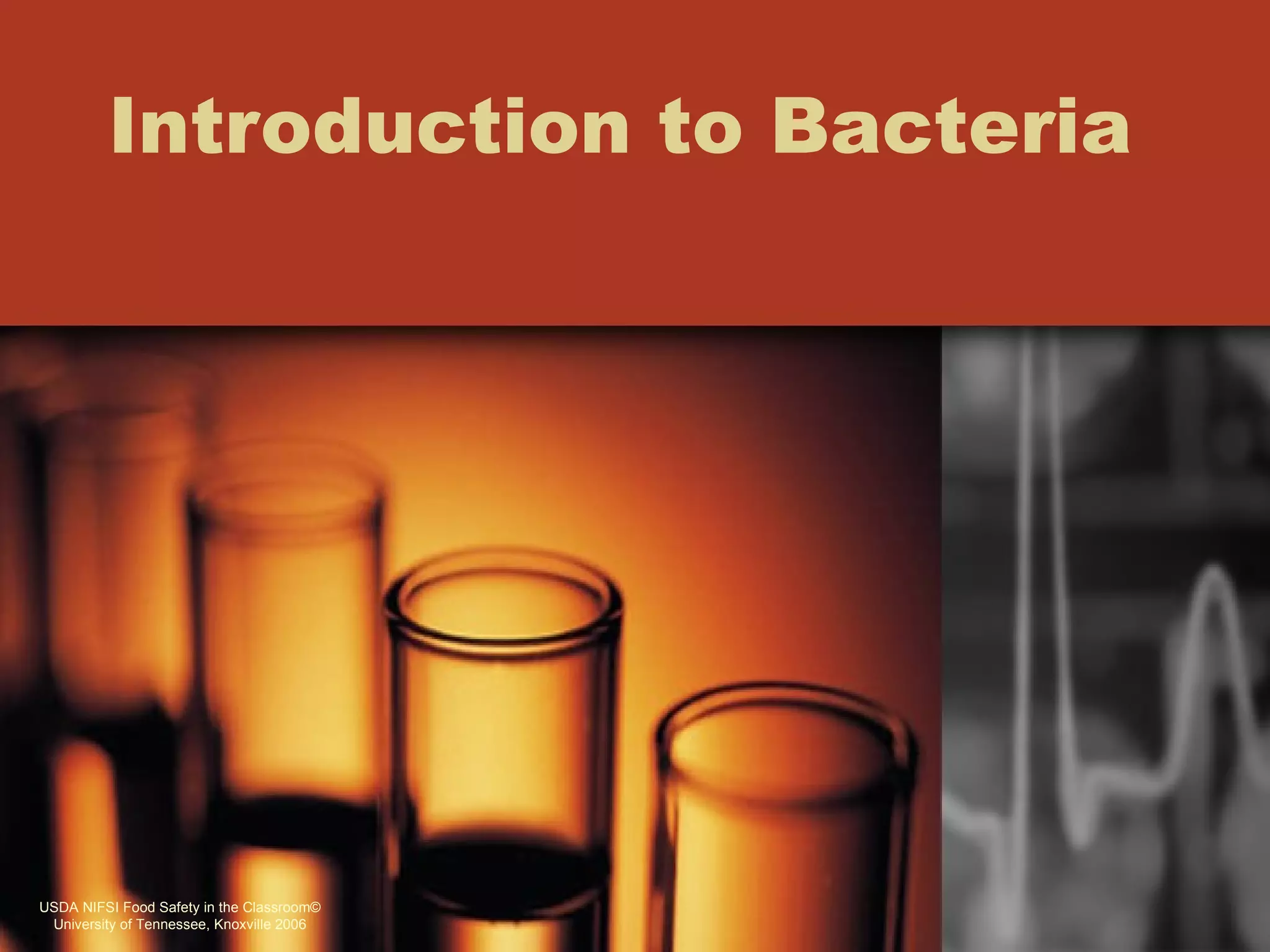 Introduction to Bacteria




USDA NIFSI Food Safety in the Classroom©
 University of Tennessee, Knoxville 2006
 