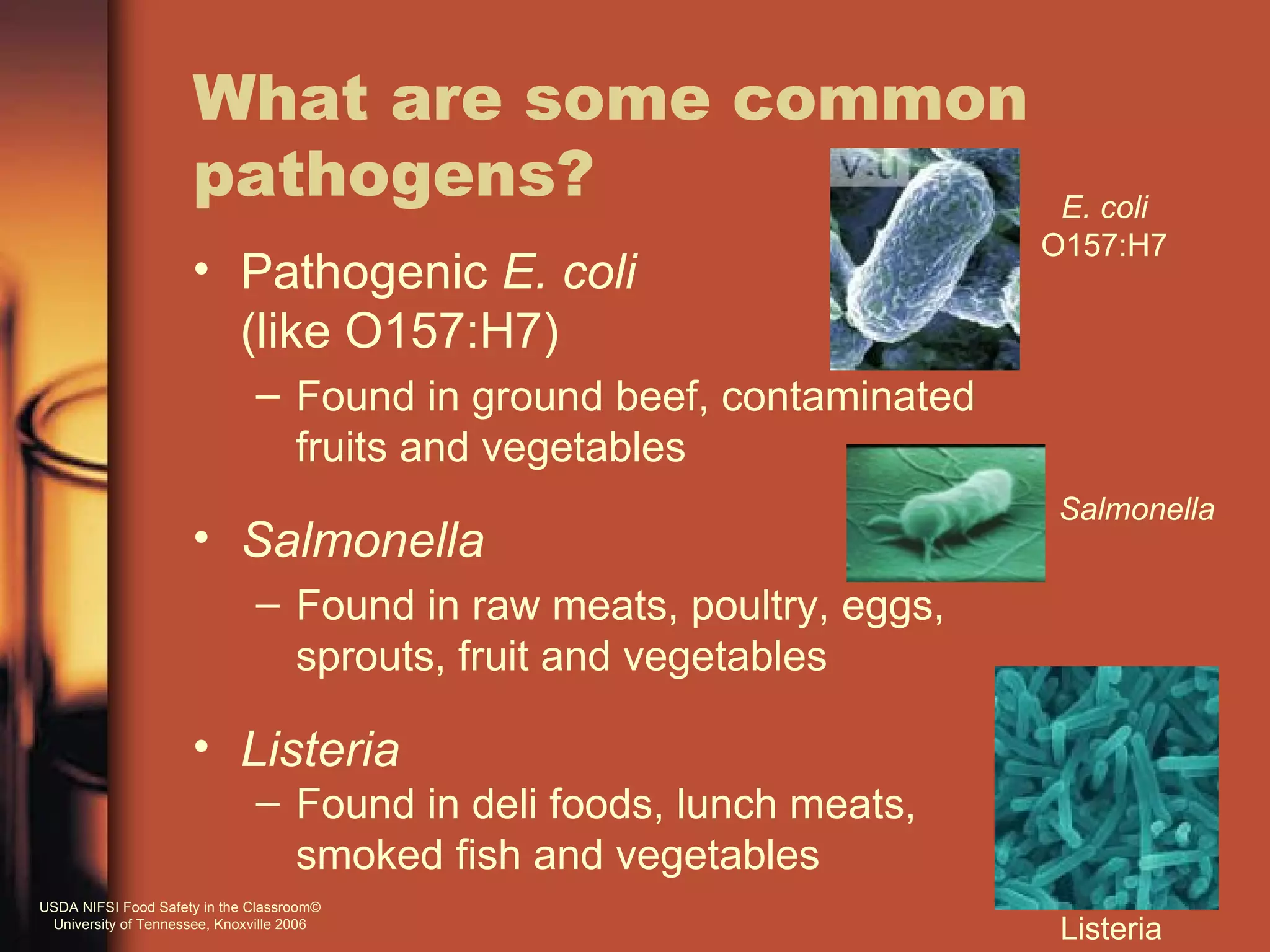 What are some common
                     pathogens?                                       E. coli
                                                                     O157:H7
                     • Pathogenic E. coli
                       (like O157:H7)
                              – Found in ground beef, contaminated
                                fruits and vegetables
                                                                      Salmonella
                     • Salmonella
                              – Found in raw meats, poultry, eggs,
                                sprouts, fruit and vegetables

                     • Listeria
                              – Found in deli foods, lunch meats,
                                smoked fish and vegetables
USDA NIFSI Food Safety in the Classroom©
 University of Tennessee, Knoxville 2006
                                                                      Listeria
 