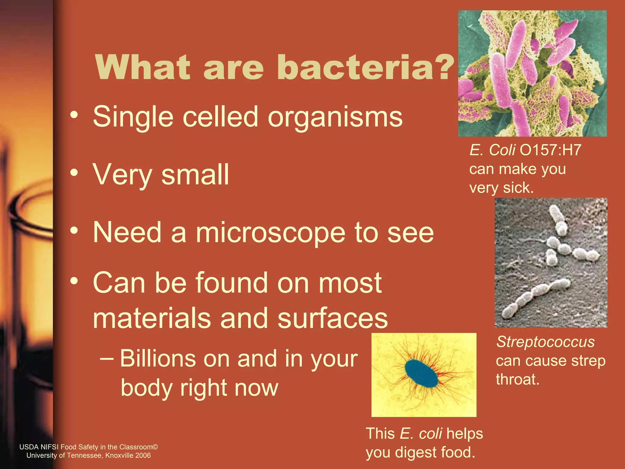 What are bacteria?
              • Single celled organisms
                                                                  E. Coli O157:H7
              • Very small                                        can make you
                                                                  very sick.


              • Need a microscope to see
              • Can be found on most
                materials and surfaces
                                                                        Streptococcus
                       – Billions on and in your                        can cause strep
                                                                        throat.
                         body right now
                                                   This E. coli helps
USDA NIFSI Food Safety in the Classroom©
 University of Tennessee, Knoxville 2006           you digest food.
 