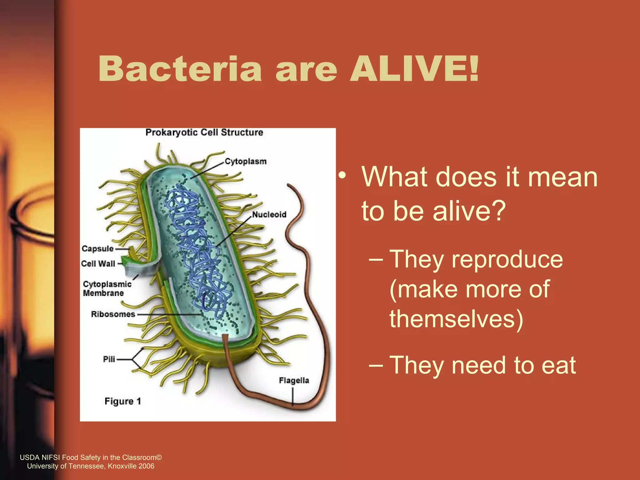Bacteria are ALIVE!

                                           • What does it mean
                                             to be alive?
                                             – They reproduce
                                               (make more of
                                               themselves)
                                             – They need to eat


USDA NIFSI Food Safety in the Classroom©
 University of Tennessee, Knoxville 2006
 