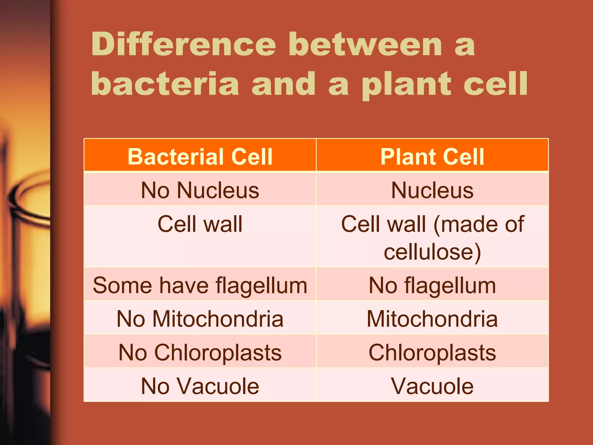 Difference between a
bacteria and a plant cell

   Bacterial Cell         Plant Cell
    No Nucleus             Nucleus
     Cell wall        Cell wall (made of
                          cellulose)
Some have flagellum     No flagellum
  No Mitochondria       Mitochondria
  No Chloroplasts       Chloroplasts
    No Vacuole             Vacuole
 
