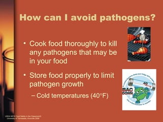 Introduction to bacteria | PPT