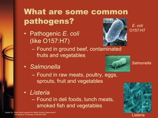 What are some common
pathogens?
• Pathogenic E. coli
(like O157:H7)
– Found in ground beef, contaminated
fruits and vegetables
• Salmonella
– Found in raw meats, poultry, eggs,
sprouts, fruit and vegetables
• Listeria
– Found in deli foods, lunch meats,
smoked fish and vegetables
E. coli
O157:H7
Salmonella
Listeria
Hands On: Real World Lessons for Middle School Classrooms©
University of Tennessee, Knoxville 2009
 
