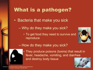 What is a pathogen?
• Bacteria that make you sick
– Why do they make you sick?
• To get food they need to survive and
reproduce
– How do they make you sick?
• They produce poisons (toxins) that result in
fever, headache, vomiting, and diarrhea
and destroy body tissue
Hands On: Real World Lessons for Middle School Classrooms©
University of Tennessee, Knoxville 2009
 