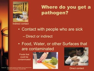 Where do you get a
pathogen?
• Contact with people who are sick
– Direct or indirect
• Food, Water, or other Surfaces that
are contaminated
Indirect contact
Direct contact
Foods that
could be
contaminated
Hands On: Real World Lessons for Middle School Classrooms©
University of Tennessee, Knoxville 2009
 