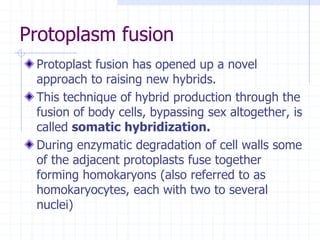 Protoplasm fusion
Protoplast fusion has opened up a novel
approach to raising new hybrids.
This technique of hybrid production through the
fusion of body cells, bypassing sex altogether, is
called somatic hybridization.
During enzymatic degradation of cell walls some
of the adjacent protoplasts fuse together
forming homokaryons (also referred to as
homokaryocytes, each with two to several
nuclei)
 