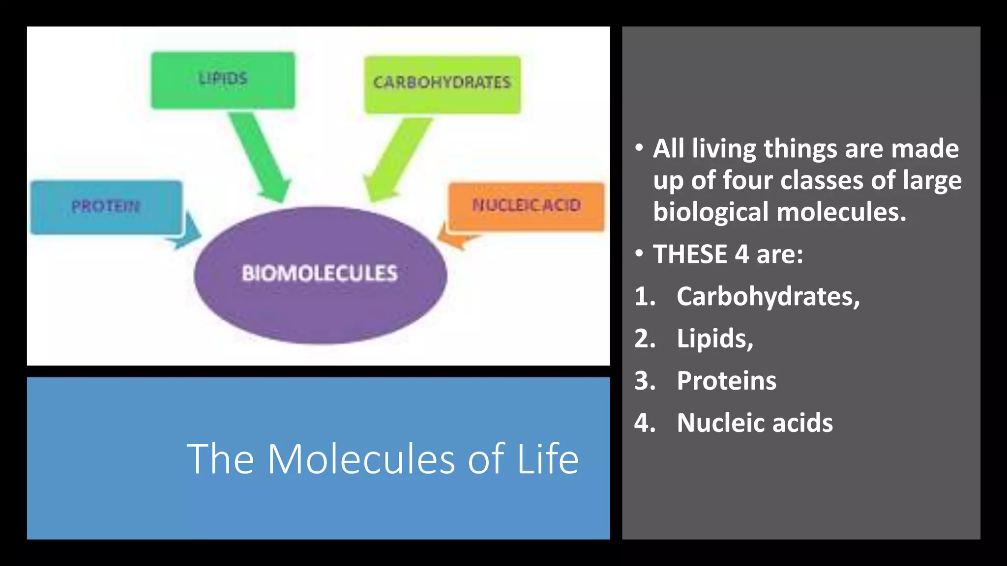 The Molecules of Life
• All living things are made
up of four classes of large
biological molecules.
• THESE 4 are:
1. Carbohydrates,
2. Lipids,
3. Proteins
4. Nucleic acids
 