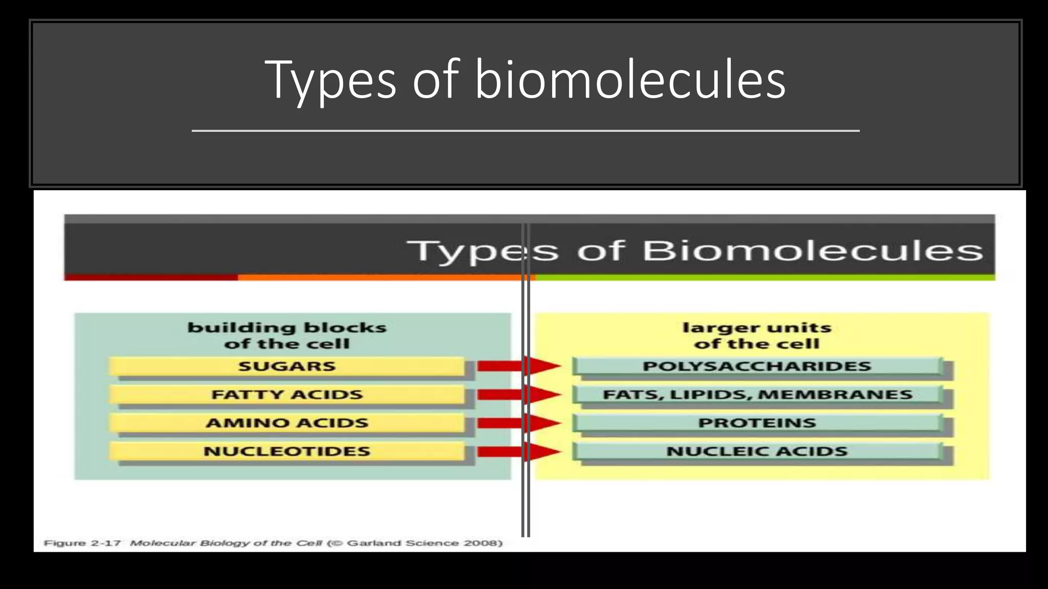 Types of biomolecules
 