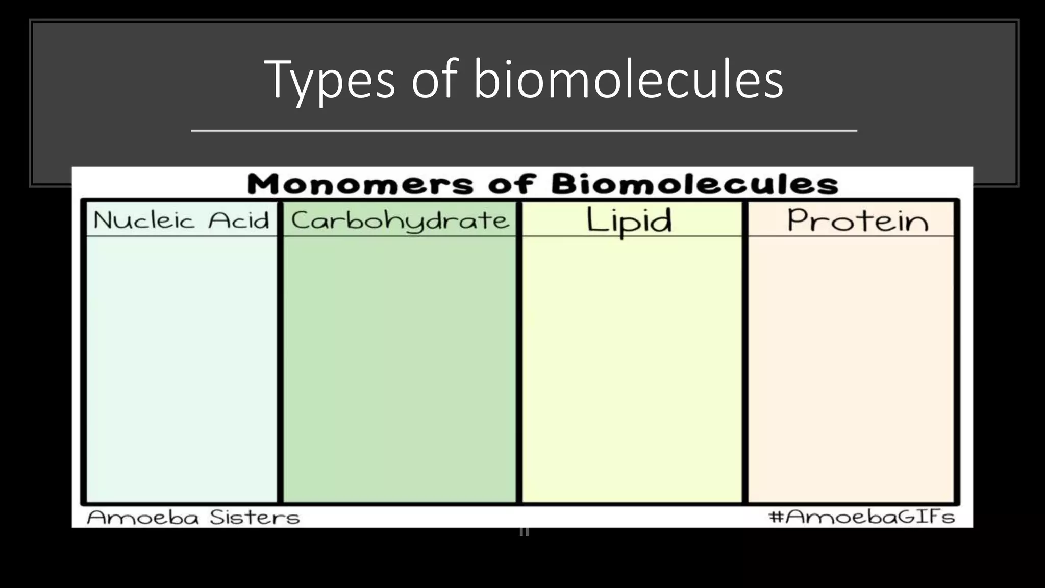 Types of biomolecules
 