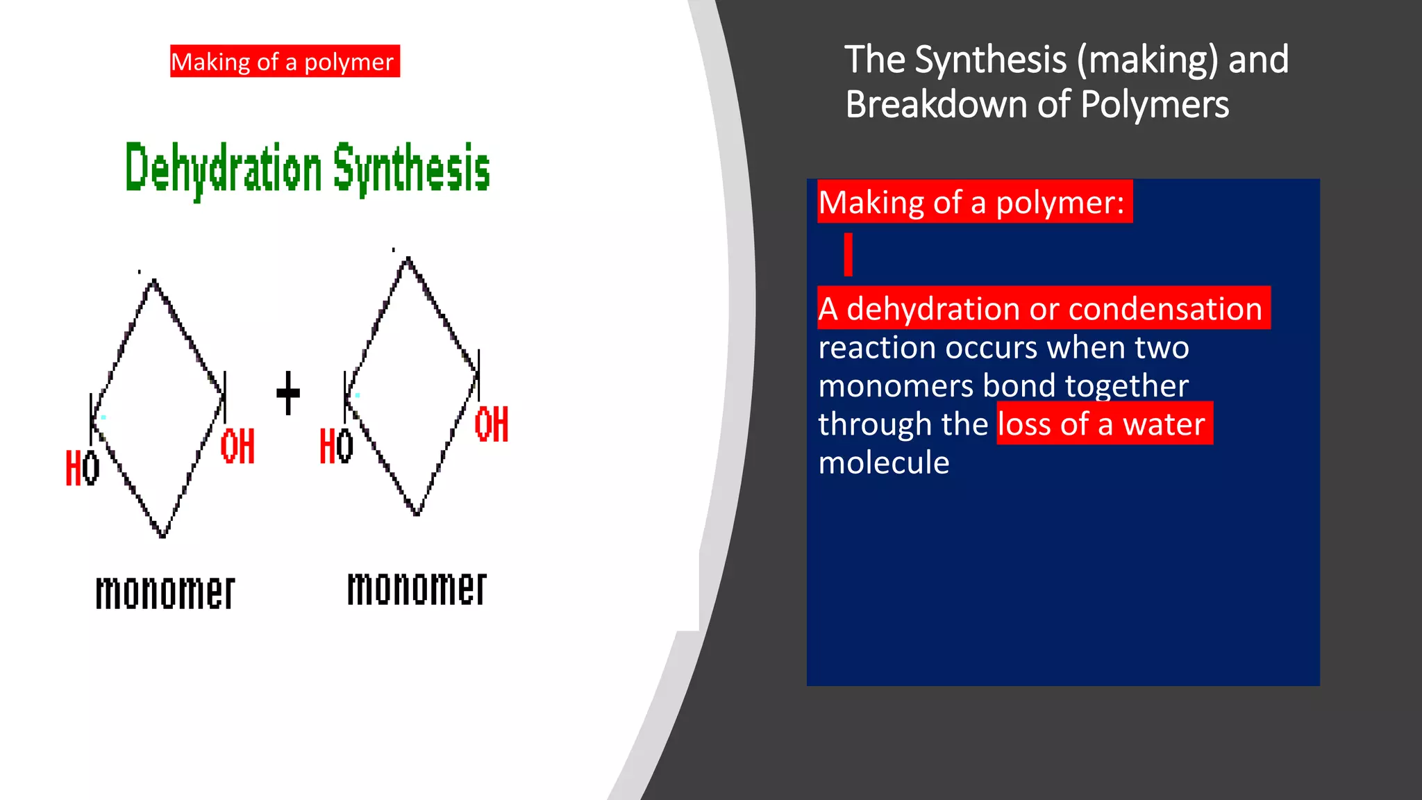 The Synthesis (making) and
Breakdown of Polymers
Making of a polymer:
A dehydration or condensation
reaction occurs when two
monomers bond together
through the loss of a water
molecule
Making of a polymer
 