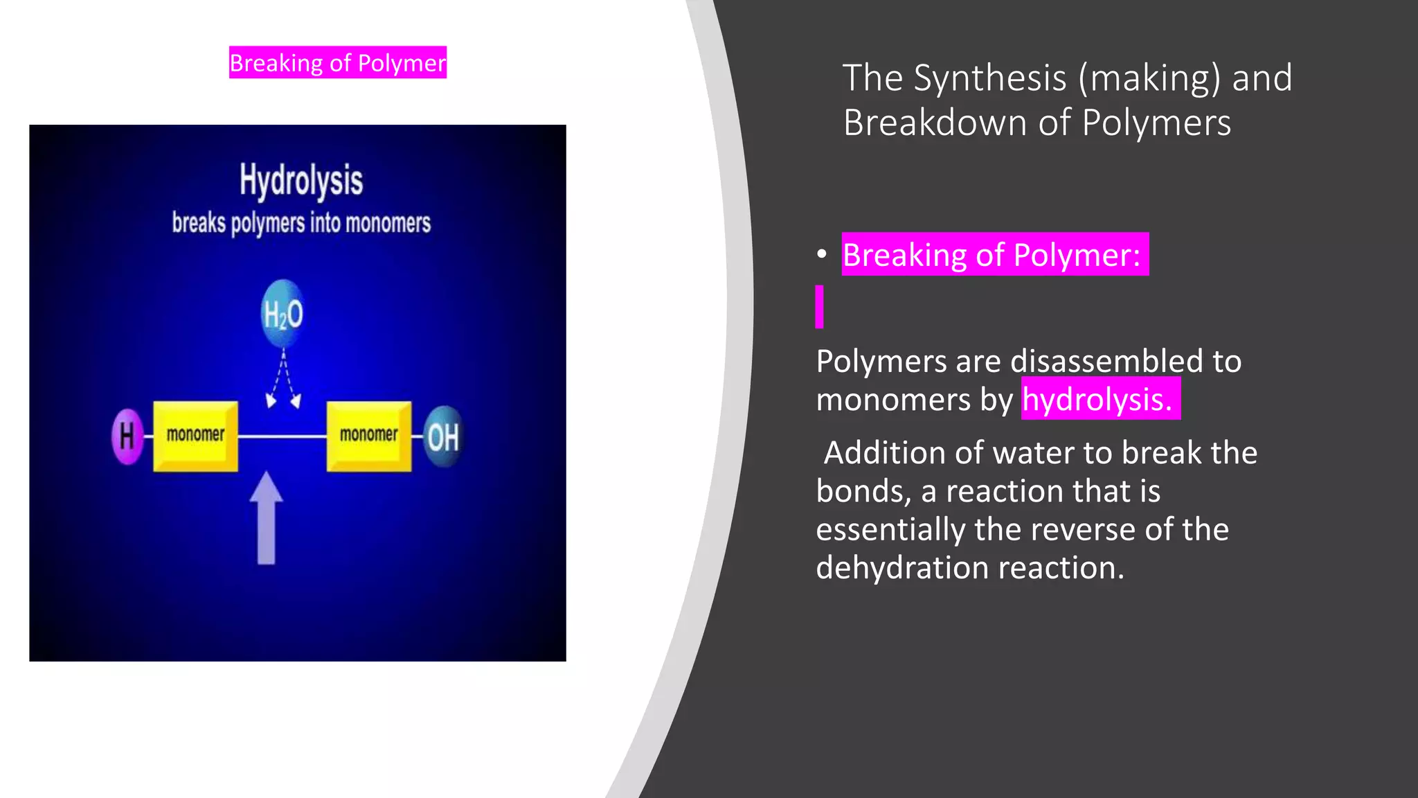 The Synthesis (making) and
Breakdown of Polymers
• Breaking of Polymer:
Polymers are disassembled to
monomers by hydrolysis.
Addition of water to break the
bonds, a reaction that is
essentially the reverse of the
dehydration reaction.
Breaking of Polymer
 