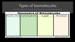 Types of biomolecules
 