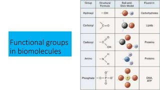 Functional groups
in biomolecules
 