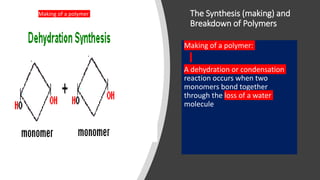 The Synthesis (making) and
Breakdown of Polymers
Making of a polymer:
A dehydration or condensation
reaction occurs when two
monomers bond together
through the loss of a water
molecule
Making of a polymer
 