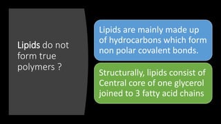 Lipids do not
form true
polymers ?
Lipids are mainly made up
of hydrocarbons which form
non polar covalent bonds.
Structurally, lipids consist of
Central core of one glycerol
joined to 3 fatty acid chains
 