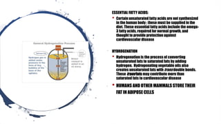 ESSENTIAL FATTY ACIDS:
• Certain unsaturated fatty acids are not synthesized
in the human body ; these must be supplied in the
diet. These essential fatty acids include the omega-
3 fatty acids, required for normal growth, and
thought to provide protection against
cardiovascular disease
HYDROGENATION
• Hydrogenation is the process of converting
unsaturated fats to saturated fats by adding
hydrogen. Hydrogenating vegetable oils also
creates unsaturated fats with trans double bonds.
These transfats may contribute more than
saturated fats to cardiovascular disease
• HUMANS AND OTHER MAMMALS STORE THEIR
FAT IN ADIPOSE CELLS
 