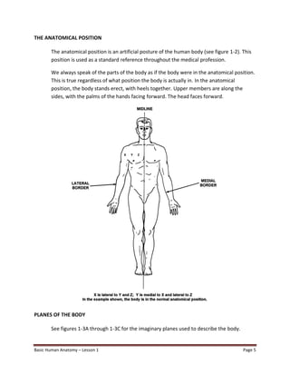 INTRODUCTION TO BASICS OF HUMAN ANATOMY.pdf