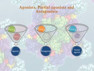 Introduction to basic principles of pharmacology | PDF