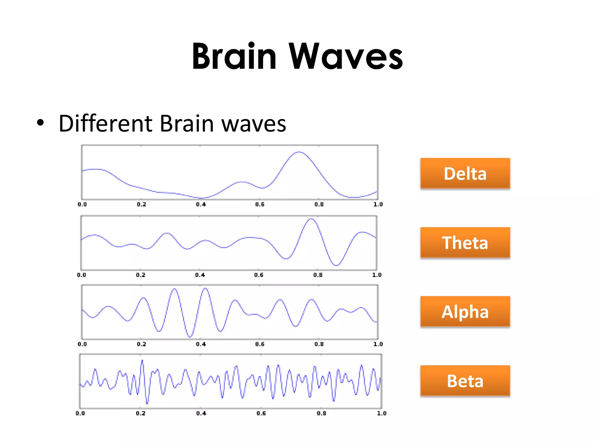Brain Waves
• Different Brain waves
                            Delta


                            Theta


                            Alpha


                            Beta
 