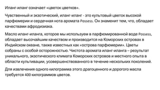 Иланг иланг означает цветок цветков
Чувственный и экзотический иланг иланг это культовый цветок высокой
парфюмерии и сердечная нота аромата Он знаменит тем что обладает
качествами афродизиака
Масло иланг иланга которое мы используем в парфюмированной воде
обладает высочайшим качеством и производится на Коморских островах в
Индийском океане также известных как острова парфюмерии Цветы
собраны с особой осторожностью Чистота аромата иланг иланга результат
уникального экзотического климата Коморских островов и местного опыта в
области культивации усовершенствованного в течение нескольких поколений
Для извлечения одного килограмма этого драгоценного и дорогого масла
требуется килограммов цветов
 
