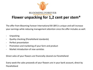 Flower unpacking for 1,2 cent per stem*
The offer from Blooming Forever International BV (BFI) is unique and will increase
your earnings while reducing management attention since the offer includes as well:

-   Unpacking
-   Quality checking (FloraHolland standards)
-   Perfect presentation
-   Promotion and marketing of your farm and product
-   Market introduction of new varieties

Direct sales of your flowers are financially cleared via FloraHolland

Every week the sales proceeds of your flowers are in your bank account, direct by
FloraHolland
 