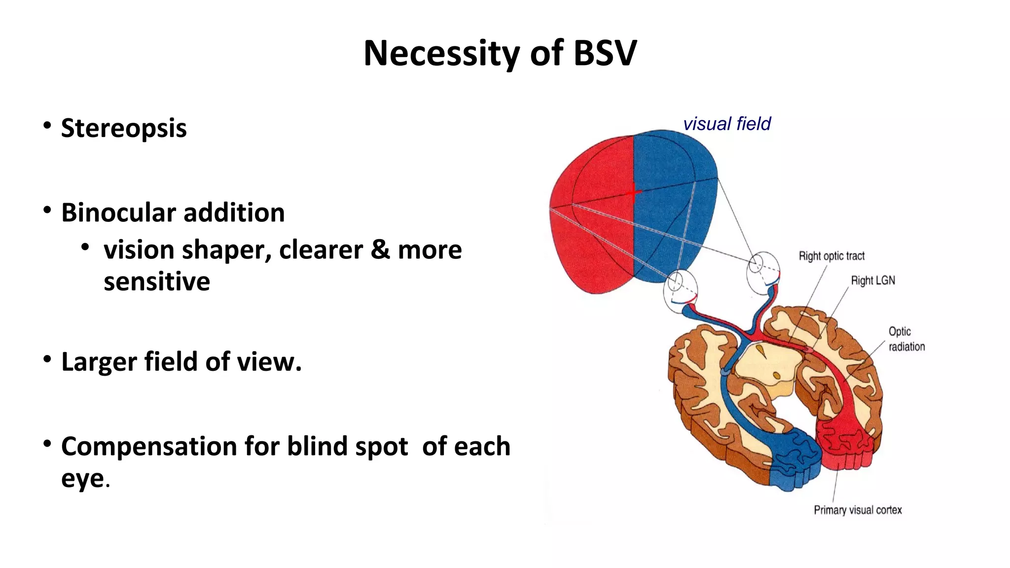 Necessity of BSV
• Stereopsis
• Binocular addition
• vision shaper, clearer & more
sensitive
• Larger field of view.
• Compensation for blind spot of each
eye.
visual field
 