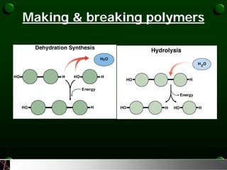 Introduction to biochemistry | PDF
