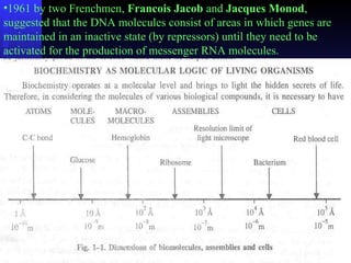 •1961 by two Frenchmen, Francois Jacob and Jacques Monod, 
suggested that the DNA molecules consist of areas in which genes are 
maintained in an inactive state (by repressors) until they need to be 
activated for the production of messenger RNA molecules. 
 