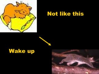 Not like this 
Wake up 
 