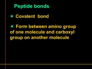 Peptide bonds 
 Covalent bond 
 Form between amino group 
of one molecule and carboxyl 
group on another molecule 
 