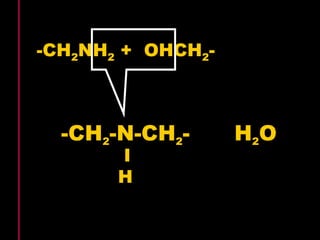 -CH2NH2 + OHCH2- 
-CH2-N-CH2- H2O 
IH 
 
