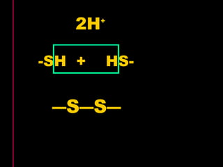 2H+ 
-SH + HS- 
―S―S― 
 