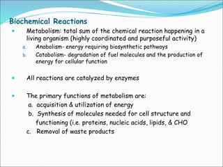 Biochemical Reactions
 Metabolism: total sum of the chemical reaction happening in a
living organism (highly coordinated and purposeful activity)
a. Anabolism- energy requiring biosynthetic pathways
b. Catabolism- degradation of fuel molecules and the production of
energy for cellular function
 All reactions are catalyzed by enzymes
 The primary functions of metabolism are:
a. acquisition & utilization of energy
b. Synthesis of molecules needed for cell structure and
functioning (i.e. proteins, nucleic acids, lipids, & CHO
c. Removal of waste products
 