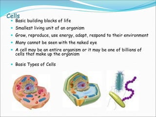 Cells
 Basic building blocks of life
 Smallest living unit of an organism
 Grow, reproduce, use energy, adapt, respond to their environment
 Many cannot be seen with the naked eye
 A cell may be an entire organism or it may be one of billions of
cells that make up the organism
 Basis Types of Cells
 