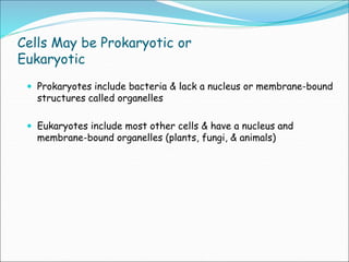 Cells May be Prokaryotic or
Eukaryotic
 Prokaryotes include bacteria & lack a nucleus or membrane-bound
structures called organelles
 Eukaryotes include most other cells & have a nucleus and
membrane-bound organelles (plants, fungi, & animals)
 