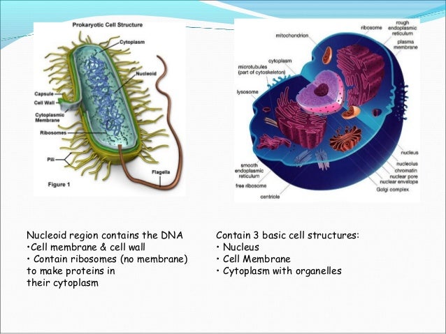 Introduction to biochemistry