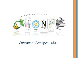Organic Compounds
 