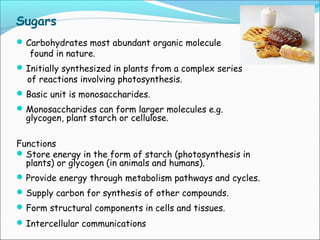 Sugars
Carbohydrates most abundant organic molecule
found in nature.
Initially synthesized in plants from a complex series
of reactions involving photosynthesis.
Basic unit is monosaccharides.
Monosaccharides can form larger molecules e.g.
glycogen, plant starch or cellulose.
Functions
Store energy in the form of starch (photosynthesis in
plants) or glycogen (in animals and humans).
Provide energy through metabolism pathways and cycles.
Supply carbon for synthesis of other compounds.
Form structural components in cells and tissues.
Intercellular communications
 