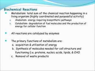 Biochemical Reactions
 Metabolism: total sum of the chemical reaction happening in a
living organism (highly coordinated and purposeful activity)
a. Anabolism- energy requiring biosynthetic pathways
b. Catabolism- degradation of fuel molecules and the production of
energy for cellular function
 All reactions are catalyzed by enzymes
 The primary functions of metabolism are:
a. acquisition & utilization of energy
b. Synthesis of molecules needed for cell structure and
functioning (i.e. proteins, nucleic acids, lipids, & CHO
c. Removal of waste products
 