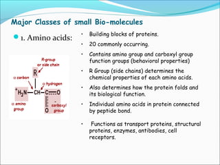 Major Classes of small Bio-molecules
1. Amino acids:
• Building blocks of proteins.
• 20 commonly occurring.
• Contains amino group and carboxyl group
function groups (behavioral properties)
• R Group (side chains) determines the
chemical properties of each amino acids.
• Also determines how the protein folds and
its biological function.
• Individual amino acids in protein connected
by peptide bond.
• Functions as transport proteins, structural
proteins, enzymes, antibodies, cell
receptors.
 