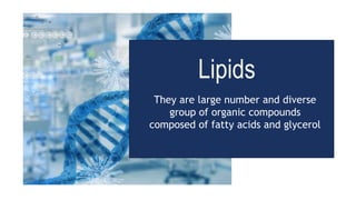Lipids
They are large number and diverse
group of organic compounds
composed of fatty acids and glycerol
 