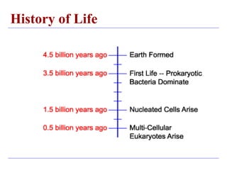 Introduction to Biochemistry.pptx