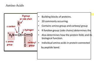 Introduction to Biochemistry-Md and BSN.pptx