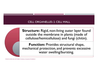 CELL ORGANELLES: 2. CELLWALL
Structure: Rigid, non-living outer layer found
outside the membrane in plants (made of
cellulose/hemicellulose) and fungi (chitin).
Structure: Rigid, non-living outer layer found
outside the membrane in plants (made of
cellulose/hemicellulose) and fungi (chitin).
Function: Provides structural shape,
mechanical protection, and prevents excessive
water swelling/bursting.
Function: Provides structural shape,
mechanical protection, and prevents excessive
water swelling/bursting.
PAWAN KUMAR SAHU LECTURER AT RUDAULI COLLEGE OF PHARMACY
 