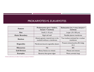 PROKARYOTESVS. EUKARYOTES
Eukaryotes (eu = true, karyon =
nucleus)
Prokaryotes (pro = before,
karyon = nucleus)
Feature
Larger (10–100 µm)
Small (1–10 µm)
Size
Flexible plasma membrane
Rigid cell wall
Outer Boundary
True nucleus enclosed by a nuclear
membrane
Absent; genetic material sits in the
nucleoid without a membrane
Nucleus
Present (mitochondria, ER, Golgi,
etc.)
Membrane-bound organelles absent
Organelles
80S
70S
Ribosomes
Mitosis and meiosis
Binary fission; no mitosis
Cell Division
Plants, animals, fungi
Bacteria, blue-green algae
Examples
PAWAN KUMAR SAHU LECTURER AT RUDAULI COLLEGE OF PHARMACY
 