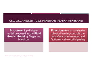 CELL ORGANELLES: 1. CELL MEMBRANE (PLASMA MEMBRANE)
Structure: Lipid bilayer
model proposed as the Fluid
Mosaic Model by Singer and
Nicolson.
Function: Acts as a selective
physical barrier, controls the
entry/exit of substances, and
facilitates cell-to-cell signaling.
PAWAN KUMAR SAHU LECTURER AT RUDAULI COLLEGE OF PHARMACY
 