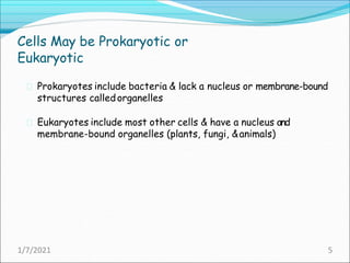 Introduction to biochemistry.